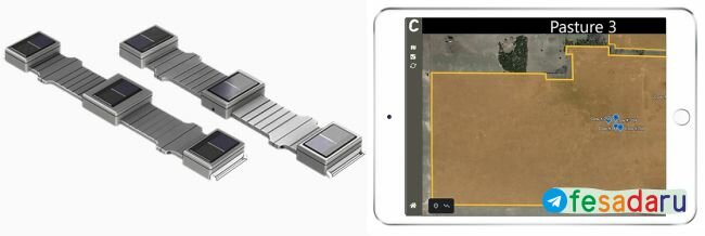 Электронные ошейники Corral Technologies могут повысить эффективность выпаса и сэкономить время и деньги, помогая фермерам контролировать выпас стада