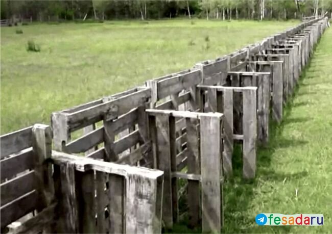Забор из деревянных поддонов